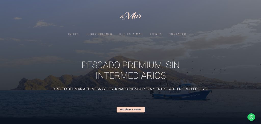 Página web - Diseñador en San Vicente