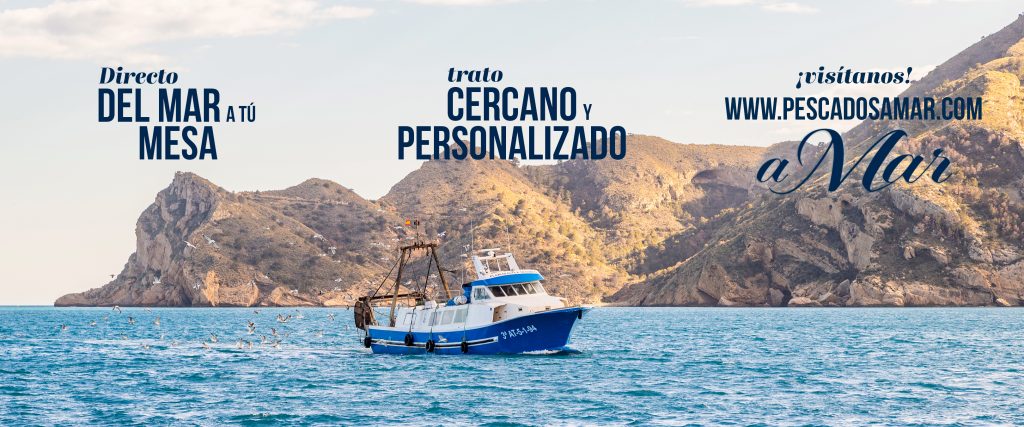 Redes fijadas - Diseñador en San Vicente